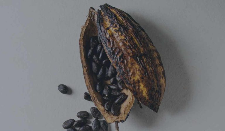 Futuros de cacao: Cómo se negocian